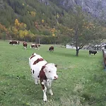 Maisonnette De Montagne