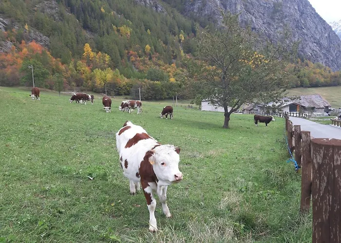 Maisonnette De Montagne